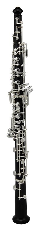 Hybrid-Pro, Professional Model