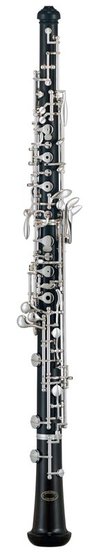 S40C Series, Graduate Model