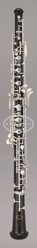 S40C Series, Graduate Model